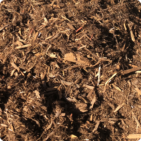 Cedar Mulch
